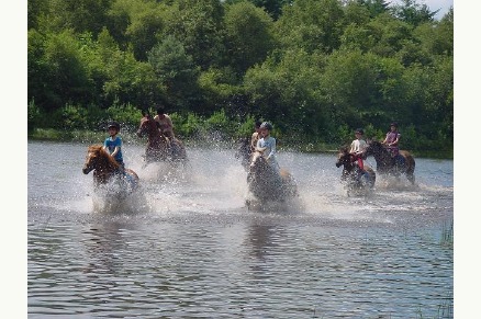 Bungalowpark de Bronzen Emmer Drenthe met paardenstalling en manege VMP019